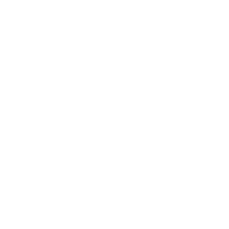 HTML5  Icon